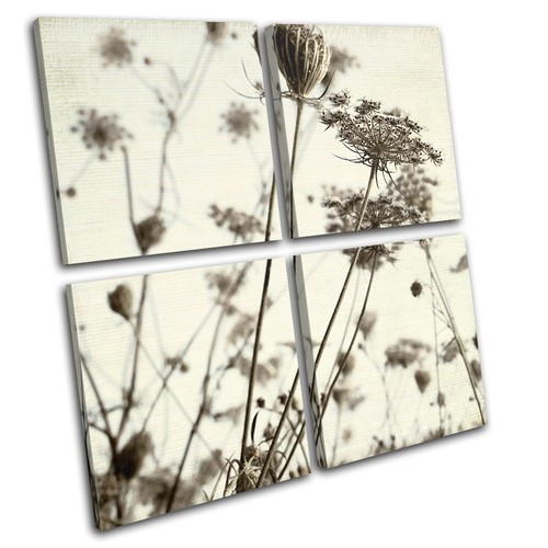 Plants floral meadow - meadow, vintage