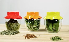 12 St. Vorratsgläser Set