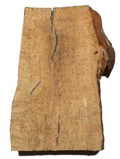 Birke Maser Holz Maserbirke