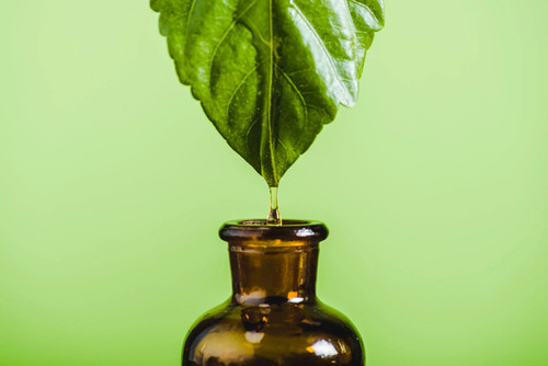Herbalshire erkältung amp - herbalshire,