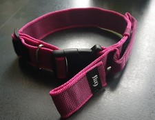 Hundehalsband von Julius - K9 in pink