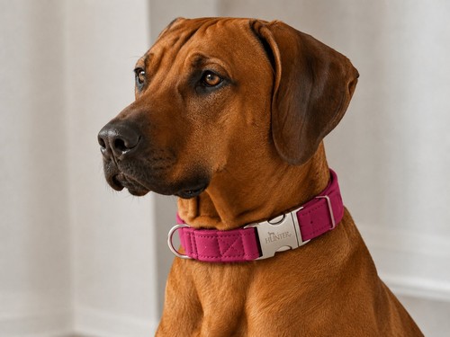 Hunter softie alu strong - hunter,