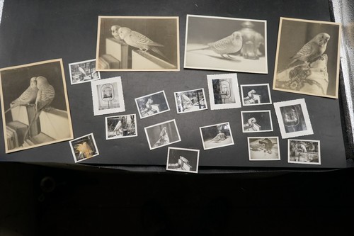 Foto konvolut lot - konvolut,