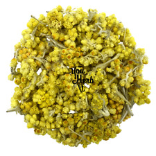 Ewig Blumen Immortelle Kraut
