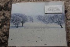 Das Modell - Rammstein Jewel