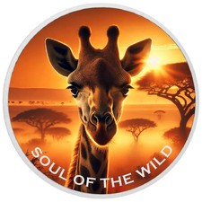  Sunset Sentinel: Soul of the