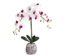 LUMIDA Flora künstliche