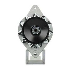 Generator passend für Eicher