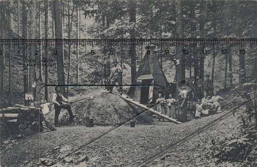 Tharandt wald holz - er,