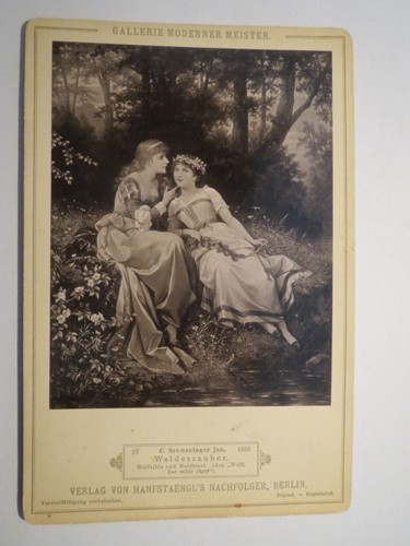 Julius wolff der wilde - -,