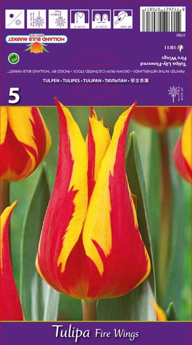 Tulpen - @, (◕‿◕)\@