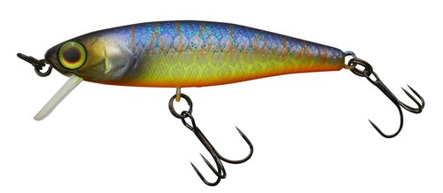 Illex tiny fry muddy - illex, 50