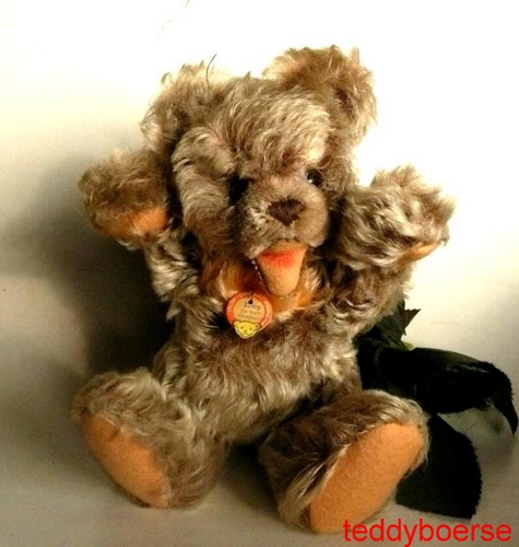 Alter steiff teddy bär - teddy, "zotty