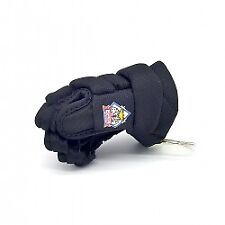 Fischtown Pinguins  - Mini