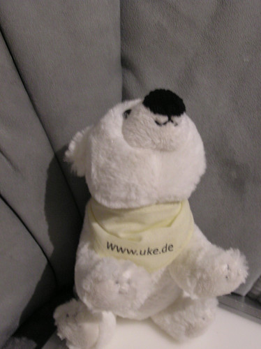 Plüschtier eisbär klein - plüschtier, mit
