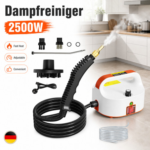 Dampfreiniger