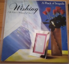 6.20 172 A Flock Of Seagulls