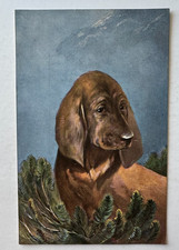 Vintage ca 1900s Germany Dog