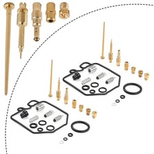 VergaserreparaturReparaturset