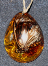 Bernstein mit Inkluse, Schmetterling