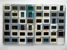 Dias Meerestiere. Unterrichtsmaterial Biologie