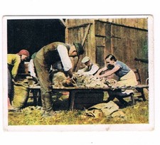 Auf Deutscher Scholle Nr. 72