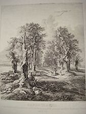 Adrian Ludwig Richter Ernst