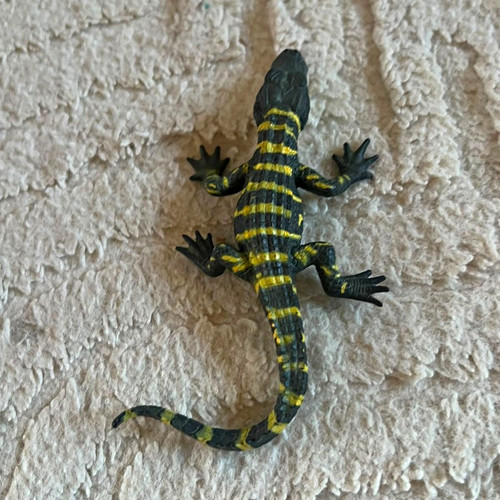 Salamander/Eidechse