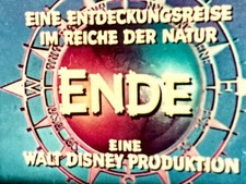 Super 8 - WALT DISNEY