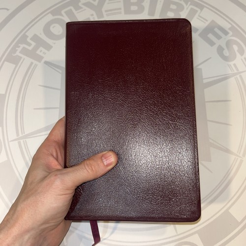 Bibel neue lebendige - neue,