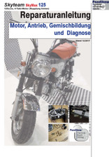 Reparaturanleitung RIS für