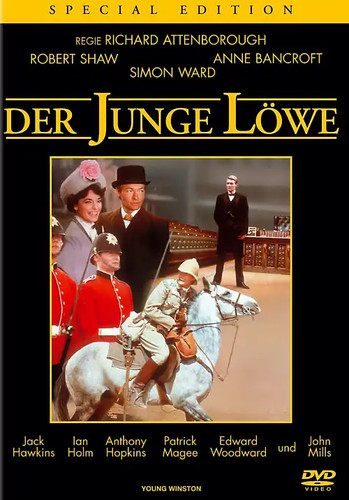 Junge löwe der - junge, löwe,