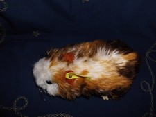 Steiff  Swinny Meerschweinchen mit Knopf und Fahne 2256/15 