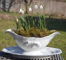 Rosenthal Vintage Sauciere