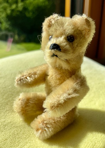 Schuco teddy bär mini - schuco,