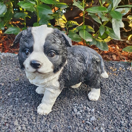 Gartenfigur border collie - gartenfigur,