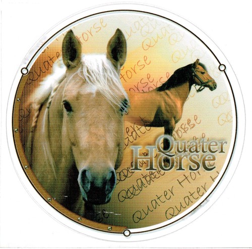Aufkleber quarter horse - aufkleber, 2