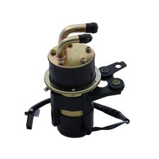 Benzinpumpe Kraftstoffpumpe