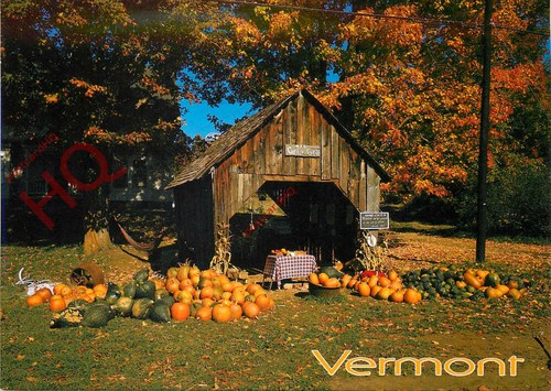 Ansichtskarte vermont - ansichtskarte:,