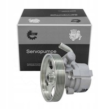 Servolenkungspumpe 10SKV411