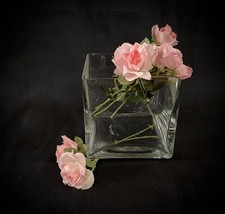 Vase Glas Blumen Pflanzen