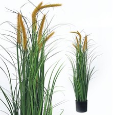 Pampasgras 100 künstlich - 100,