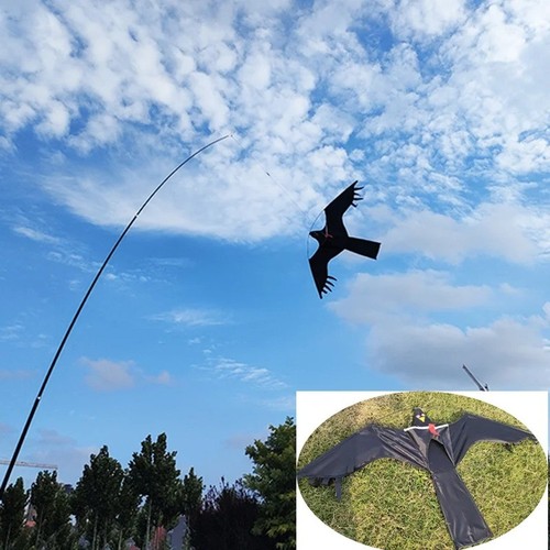 Zoll adlerdrachen - zoll,
