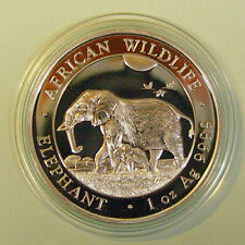 Somalia 100 Shillings African Wildlife Elefant 2022 (1 oz) bfr. in Kapsel