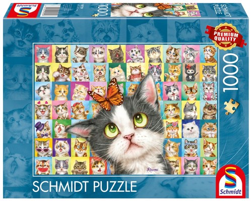 Schmidt spiele 1000 - spiele, pq