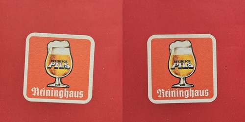 Reininghaus steirisch pils - steirisch,