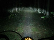 Lampe Birne kalt weiss LED