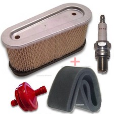 Wartung Tecumseh OHV 110 115