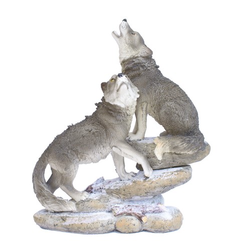 Wolf paar felsen hund - hund, wildhund