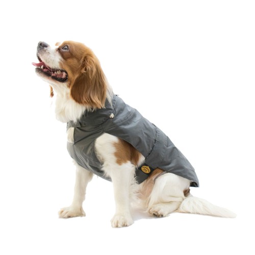 Fashion dog hundemantel mit - dog,